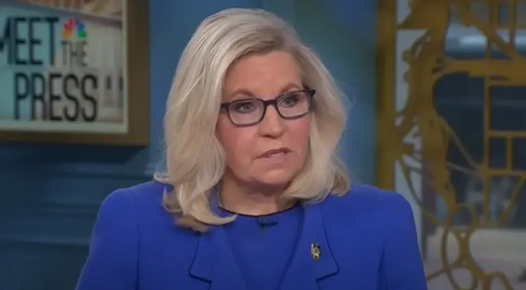 Liz Cheney humiliated herself on national TV with this one ridiculous statement