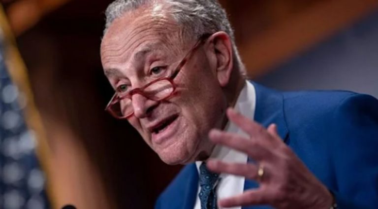 Chuck Schumer is worried sick about what this Army veteran is about to do to him