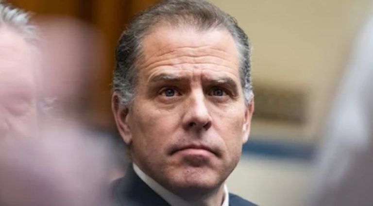 Hunter Biden public hearing decision has absolutely astounded America