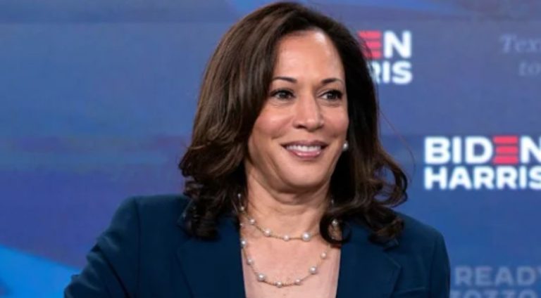 Kamala Harris’ newest campaign promise is the most destructive and Radical one yet