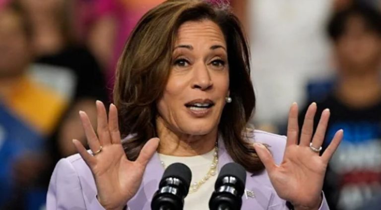 Democrat lawmakers secretly plot behind Harris’ back