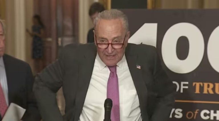 Chuck Schumer utterly humiliated himself with one braindead statement
