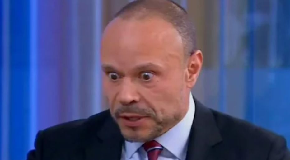 dan bongino
