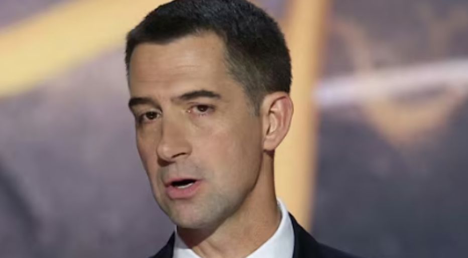 tom cotton