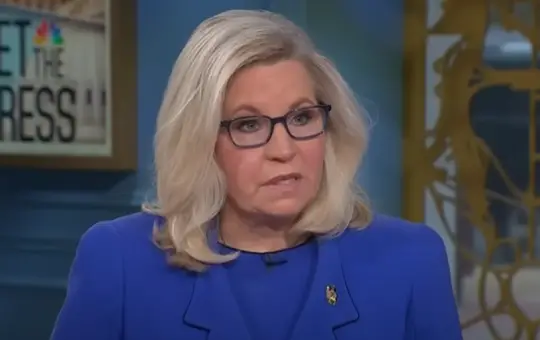 Liz Cheney humiliated herself on national TV with this one ridiculous statement