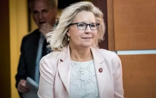 Liz Cheney is fuming from the ears after being EXPOSED for all to see