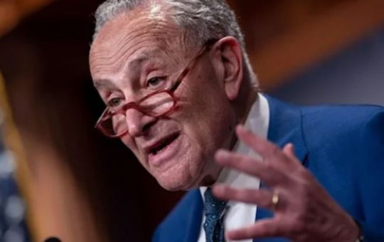 Chuck Schumer is worried sick about what this Army veteran is about to do to him