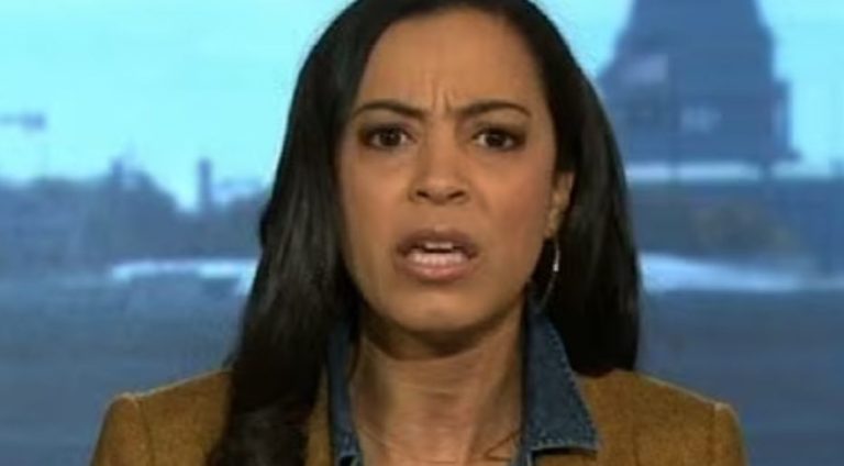 Ex-CNN commentator pushes wild election integrity conspiracy